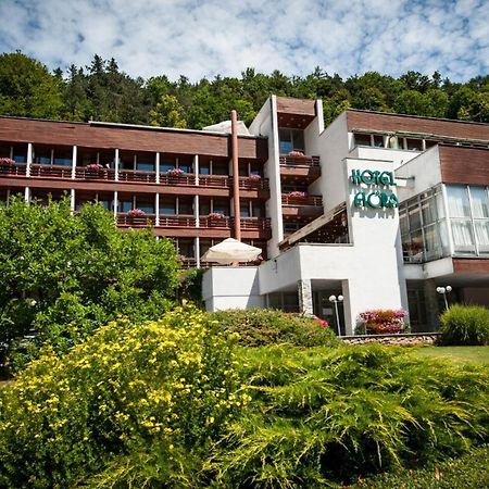 Hotel Flora Trenczyńskie Cieplice Zewnętrze zdjęcie