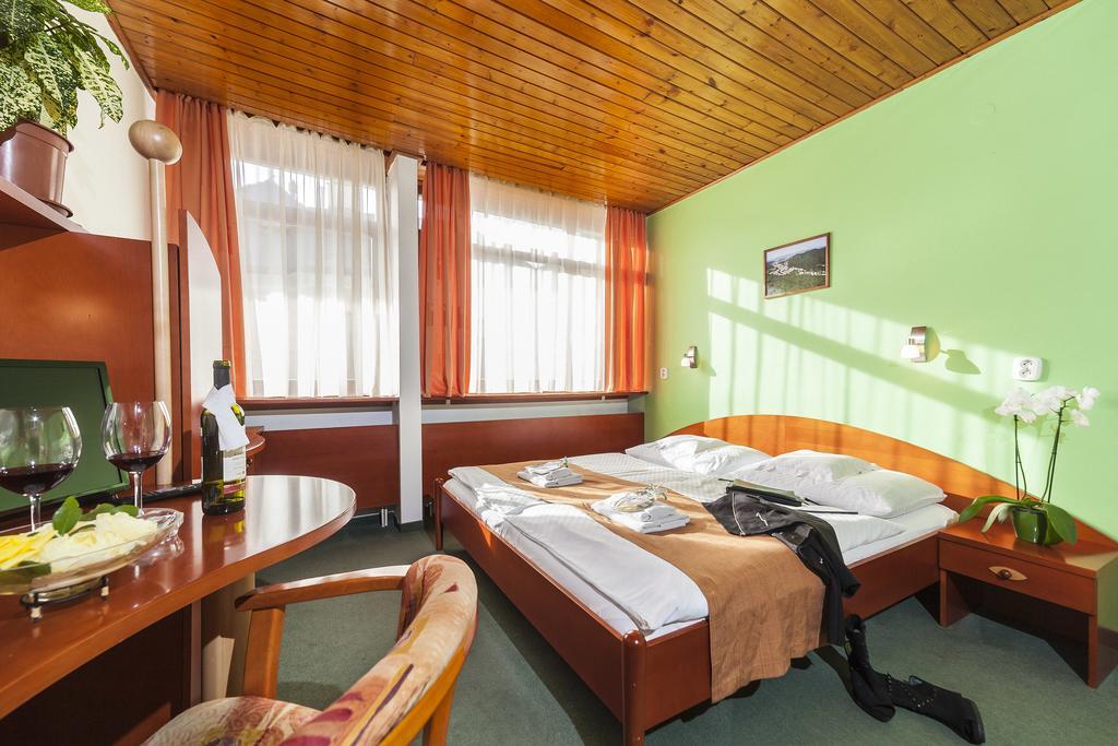 Hotel Flora Trenczyńskie Cieplice Zewnętrze zdjęcie